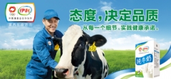 Yili Dairy Product